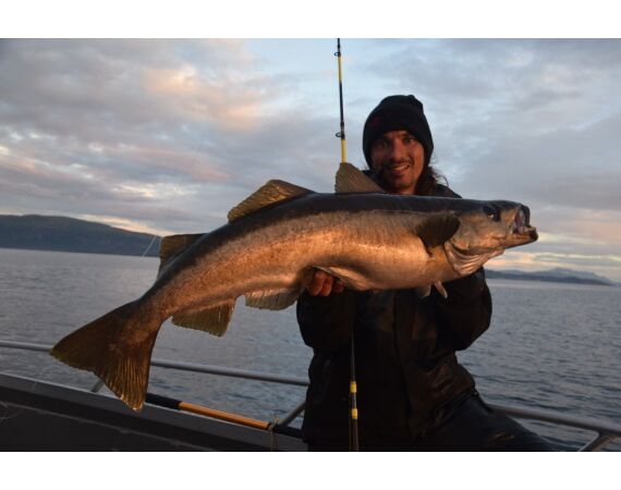 Nipro Noorwegen Festival sep 2027