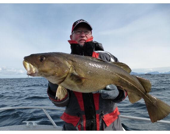 Nipro Noorwegen Festival sep 2027