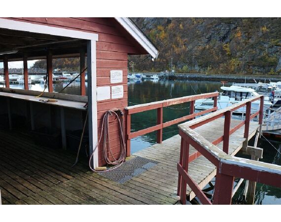 WVL Noorwegen Festival juni 27