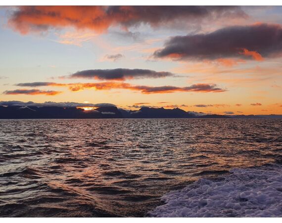 WVL Noorwegen Festival juni 27