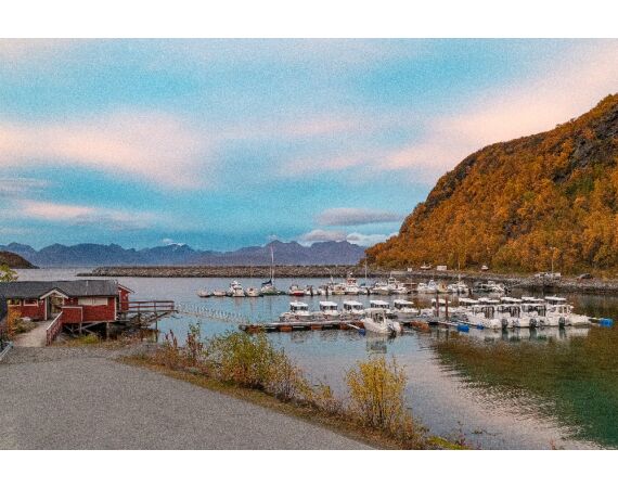 WVL Noorwegen Festival juni 27