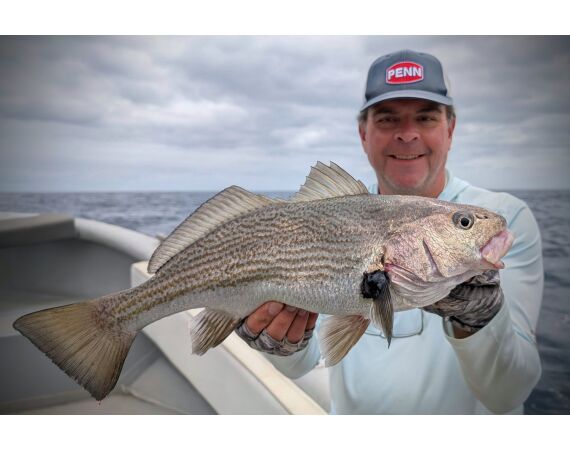 Robinson Crusoe, Chili feb 2027