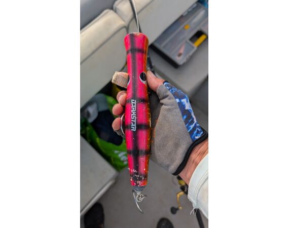 Robinson Crusoe, Chili feb 2027