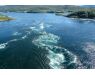 Saltstraumen