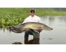 Arapaima Bolivia aug 2026
